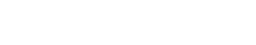 Partner 6